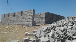 Image: smarthandimage250617071332.jpeg