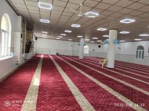 Image: smarthandimage250618075831.jpeg