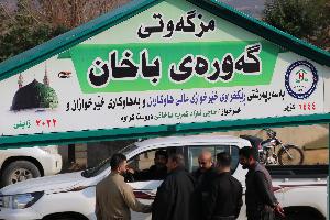 Image: smarthandimage250620074352.jpeg