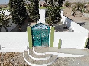 Image: smarthandimage250620074849.jpeg