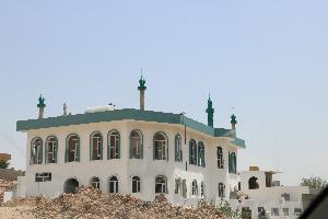 Image: smarthandimage250624021452.jpeg