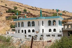 Image: smarthandimage250624021531.jpeg