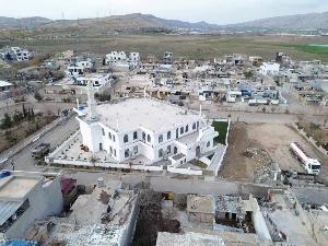 Image: smarthandimage250624022106.jpeg