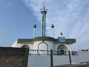 Image: smarthandimage250624022248.jpeg