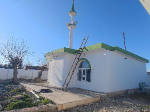 Image: smarthandimage250702013021.jpeg