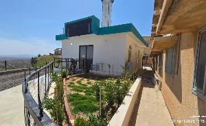 Image: smarthandimage250702014550.jpeg