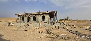 Image: smarthandimage250804025209.JPG