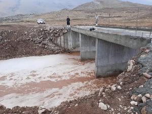 Image: smarthandimage250914022324.jpg