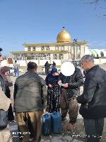 Image: smarthandimage251022030048.jpeg