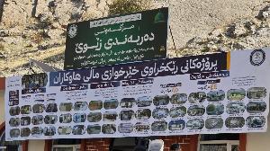 Image: smarthandimage251205052006.jpg